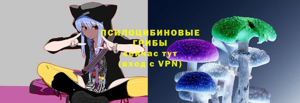 не бодяженный Белокуриха