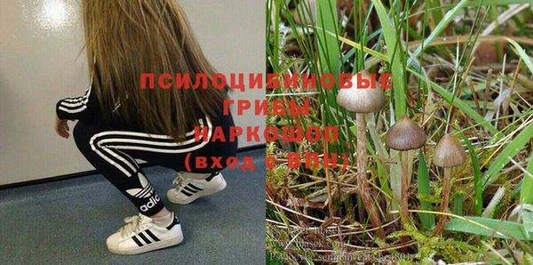 не бодяженный Белокуриха