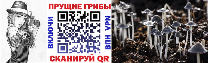 Псилоцибиновые грибы ЛСД  Крым 